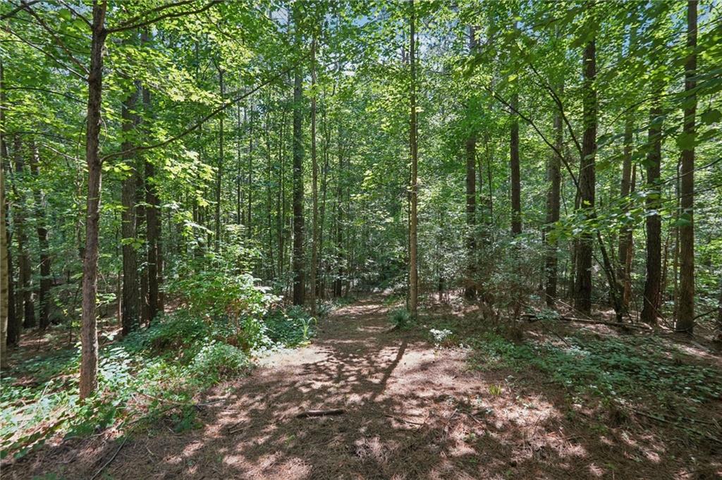 202 Saddlehorn Trail