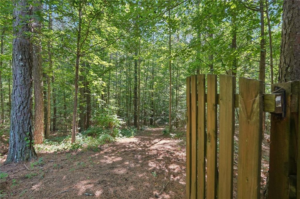 202 Saddlehorn Trail