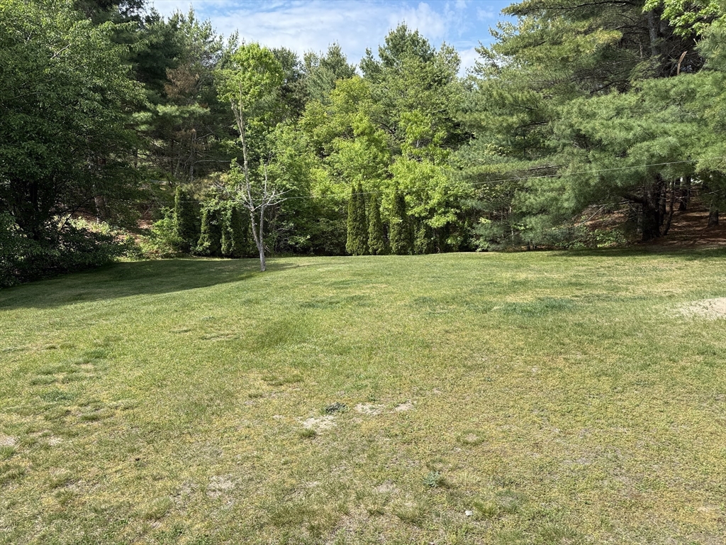 29 Wyndham Hill Dr