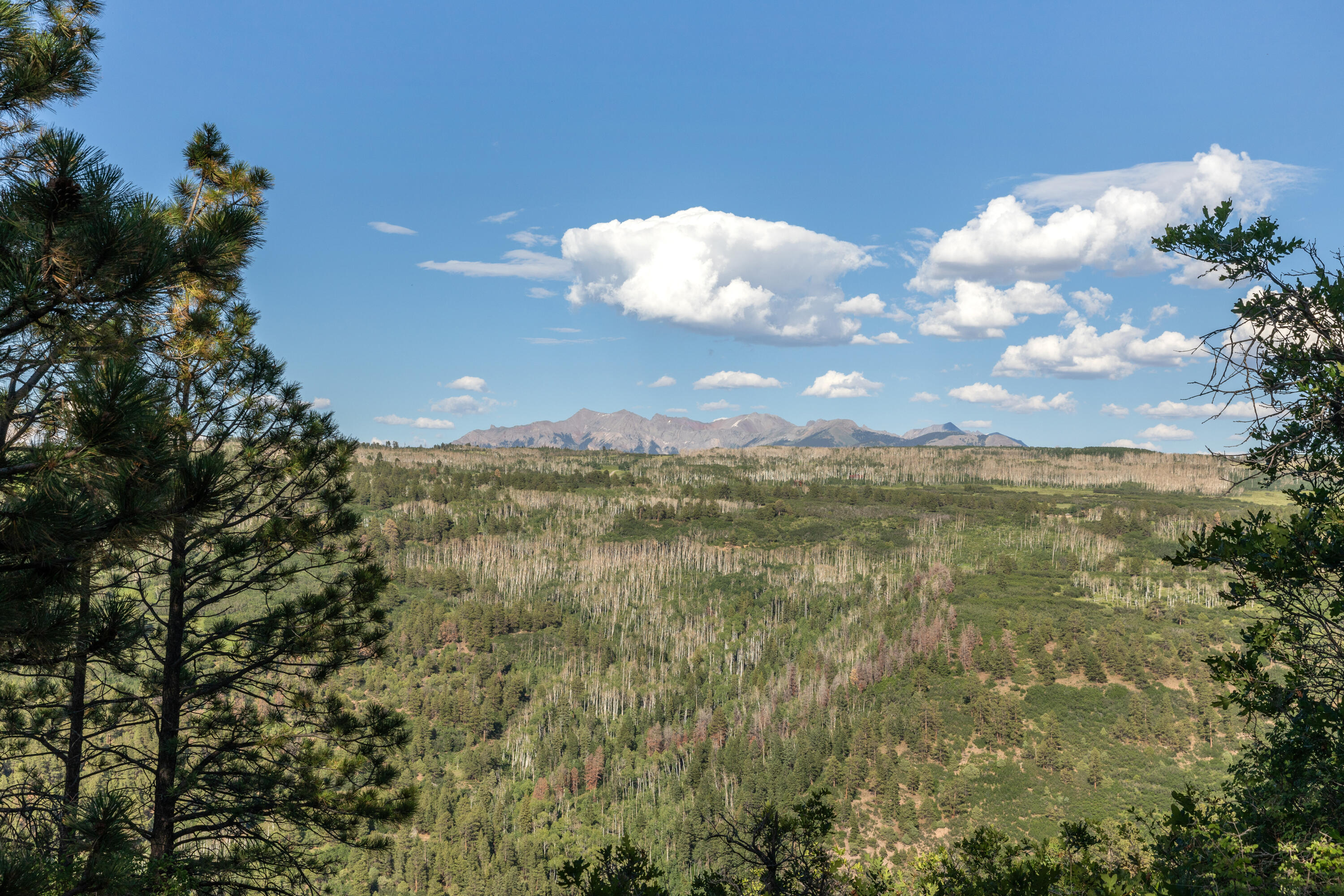 Peninsula Pines Lot 