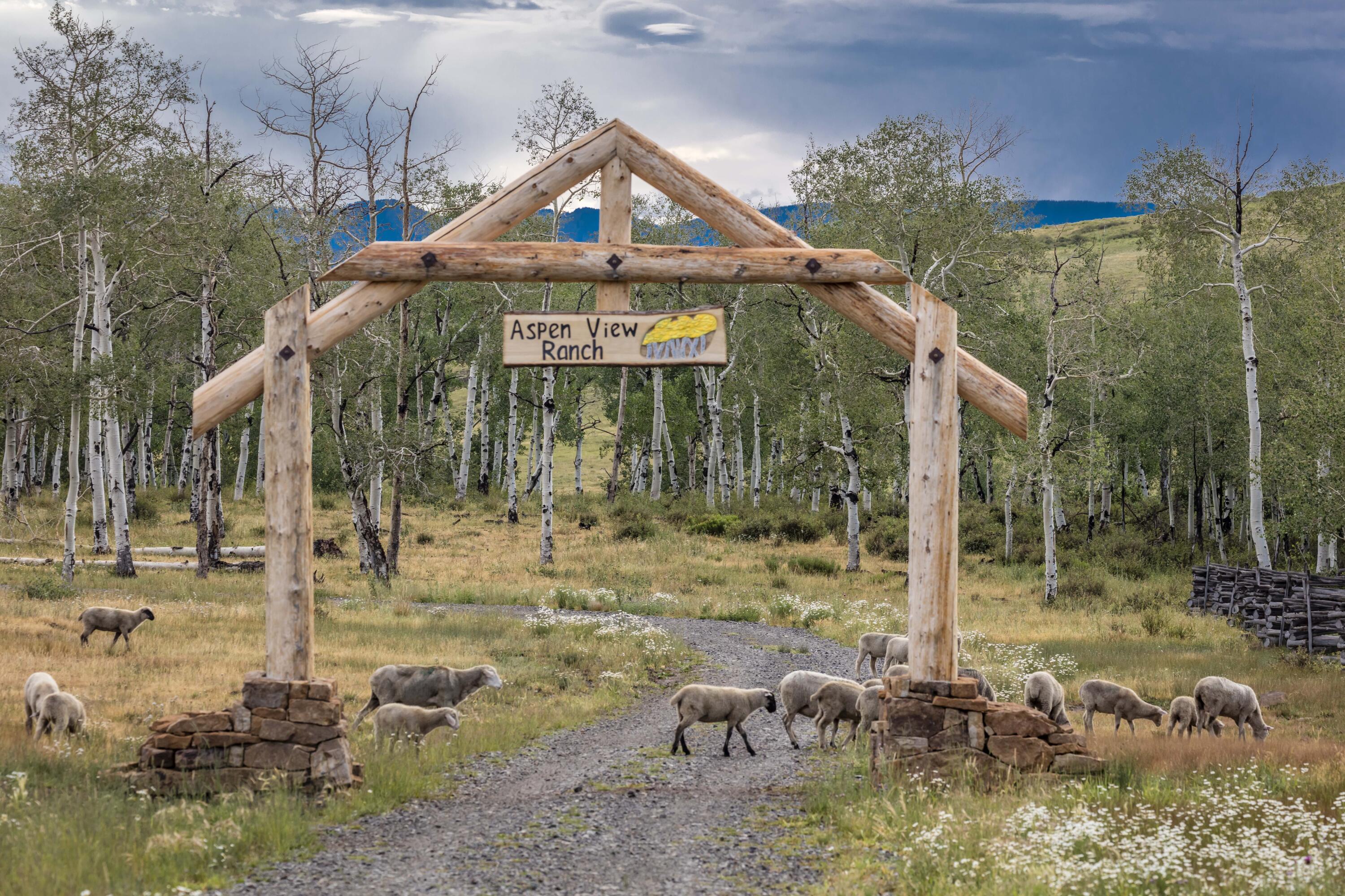 Aspen View Ranch