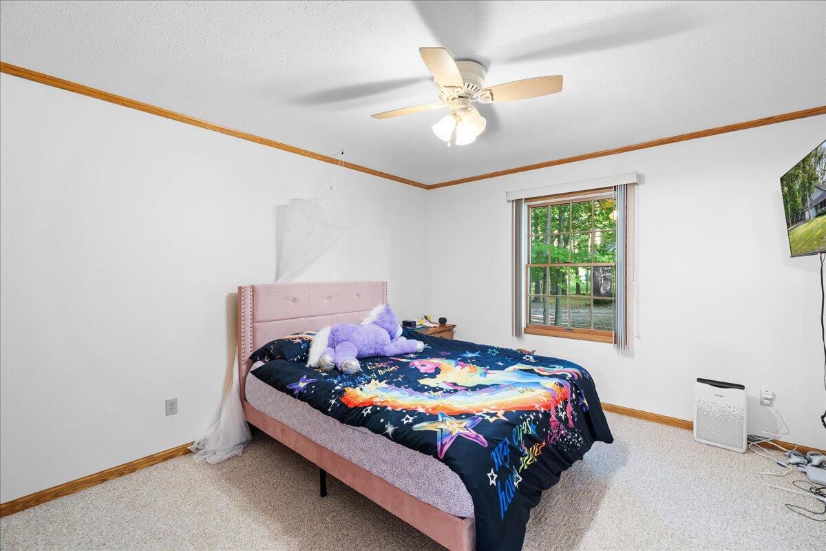 132 White Deer Trail