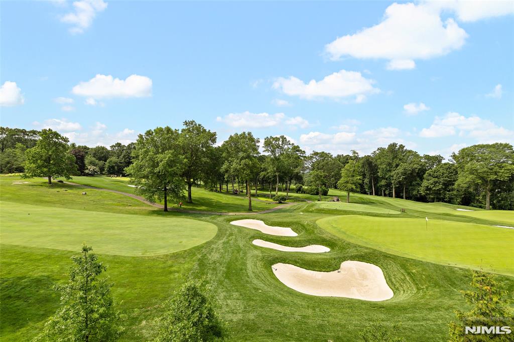 6 Stone Bridge Court