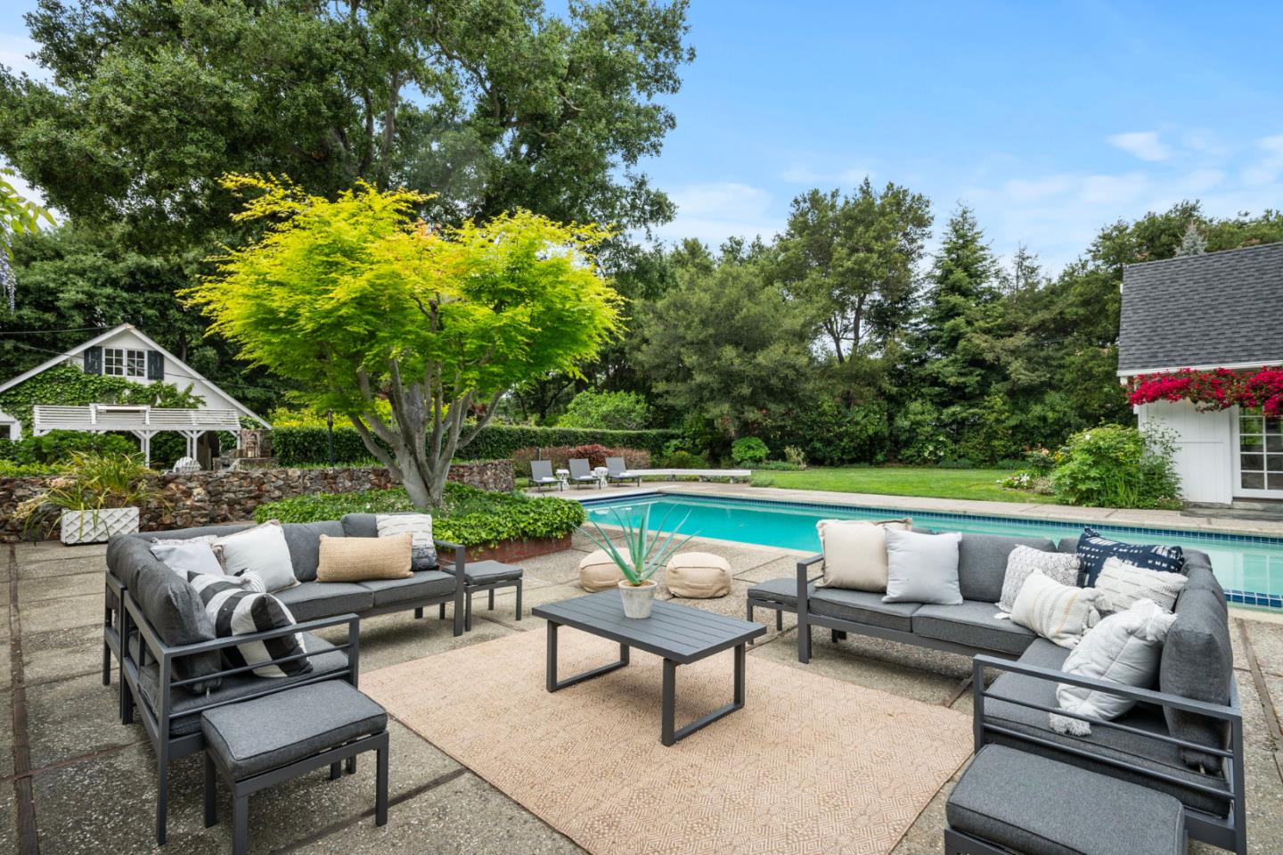 37 Lupin LN