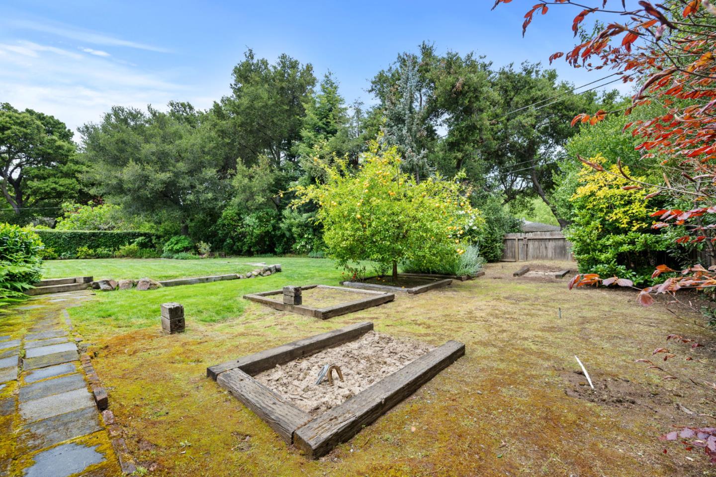 37 Lupin LN