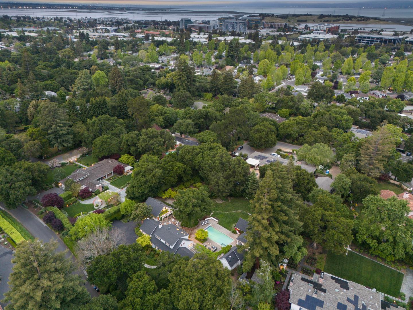 37 Lupin LN