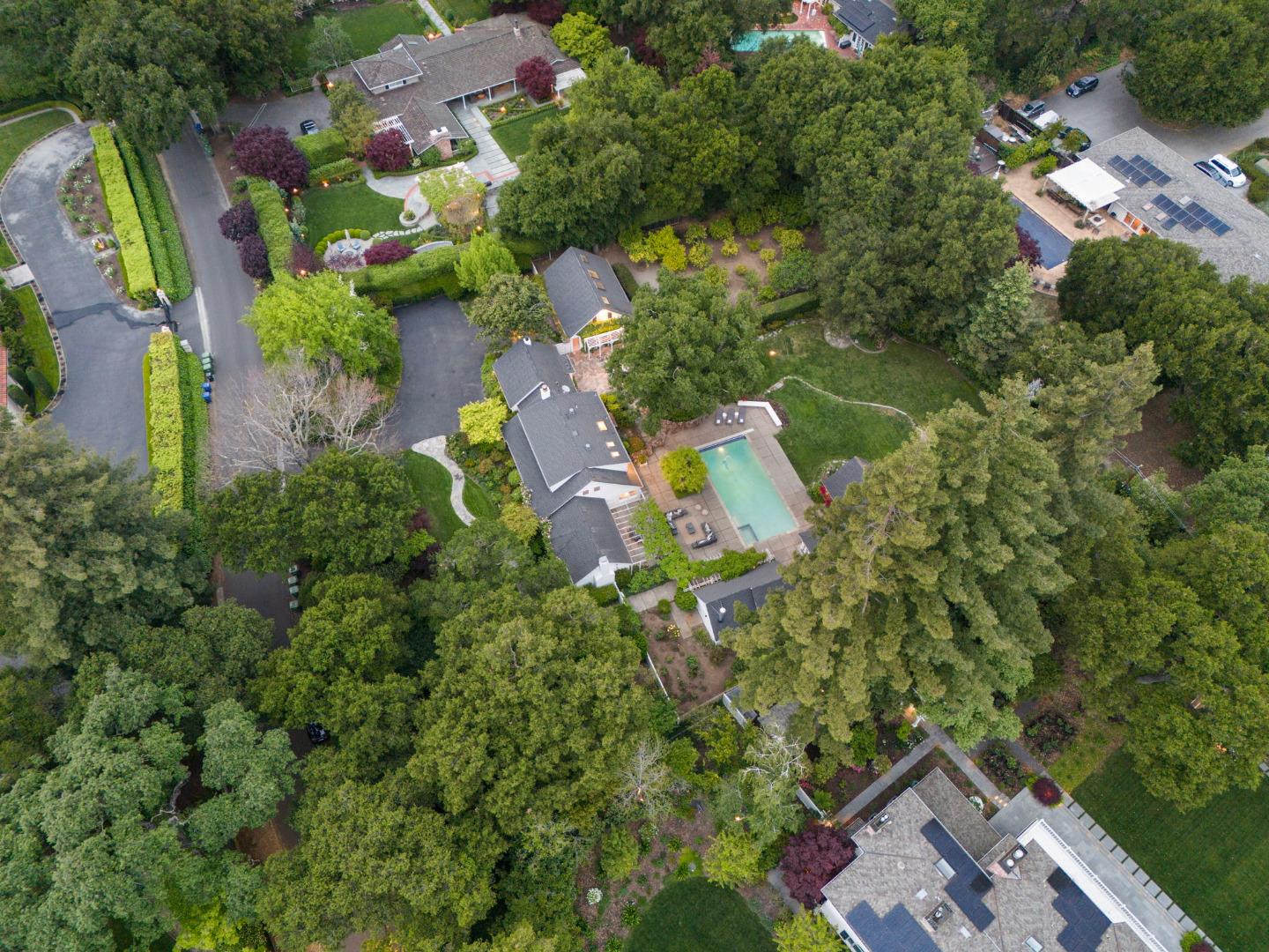37 Lupin LN