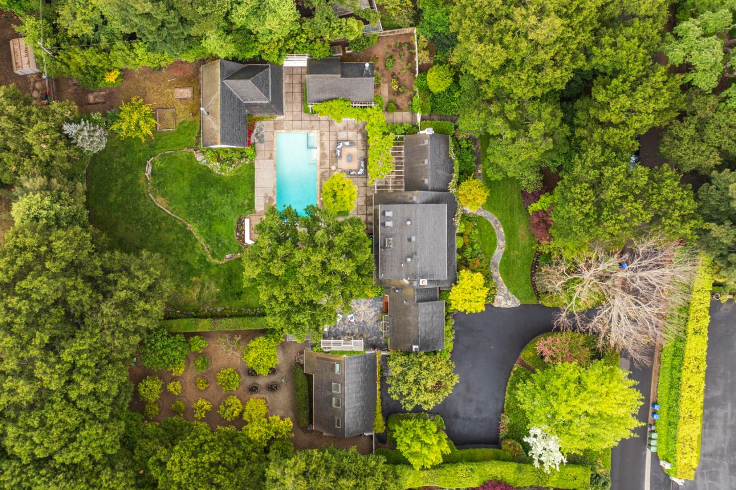 37 Lupin LN