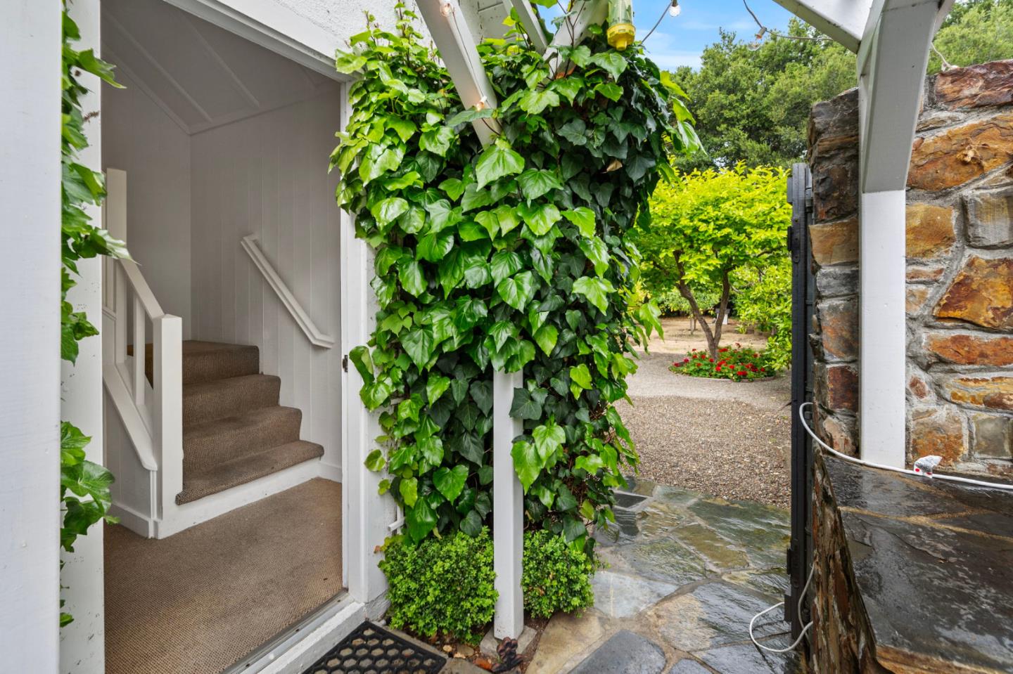 37 Lupin LN