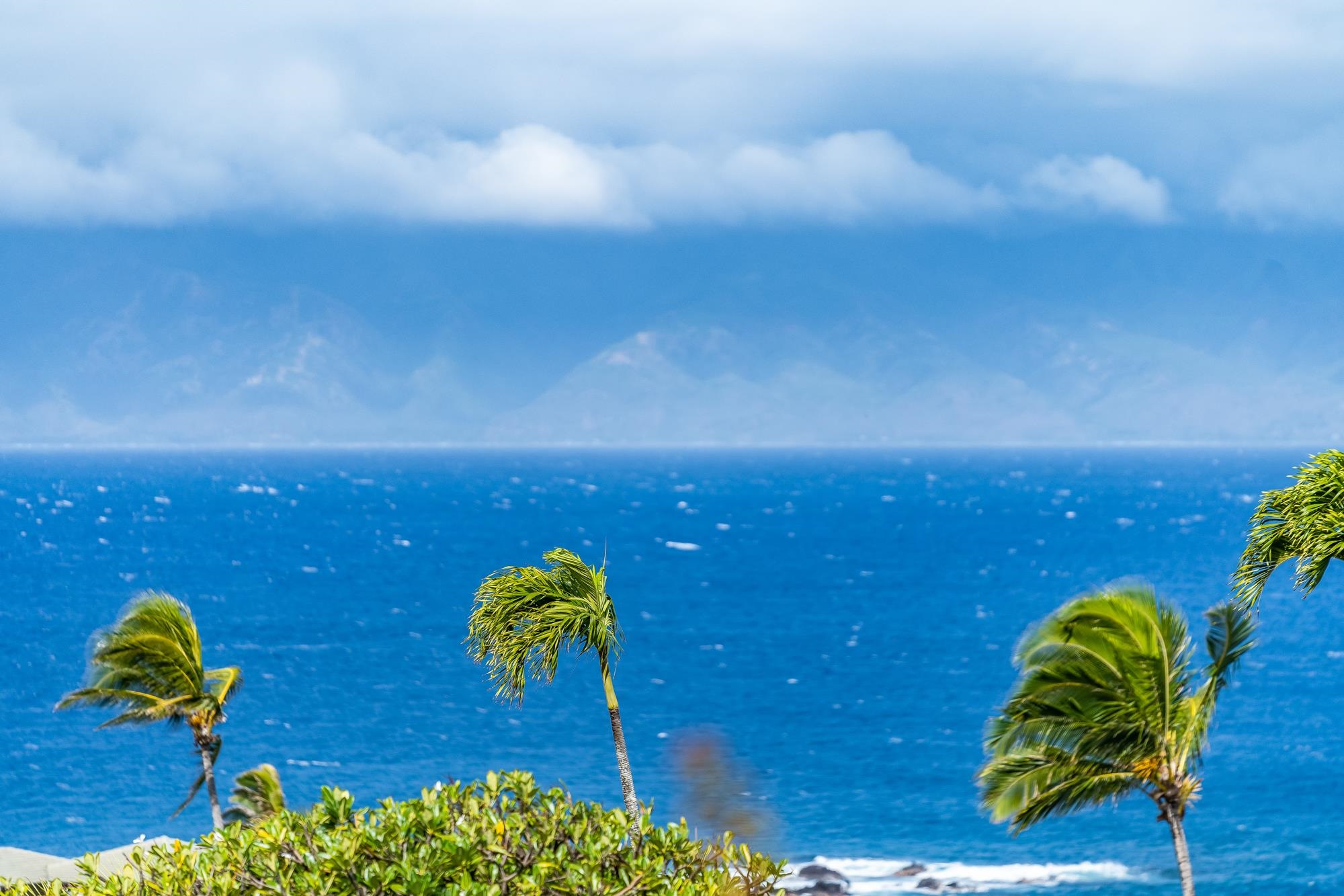 100 Ridge Rd Unit: 2612