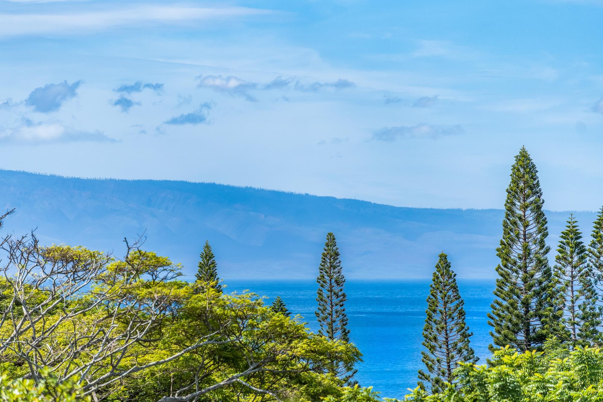 100 Ridge Rd Unit: 2612