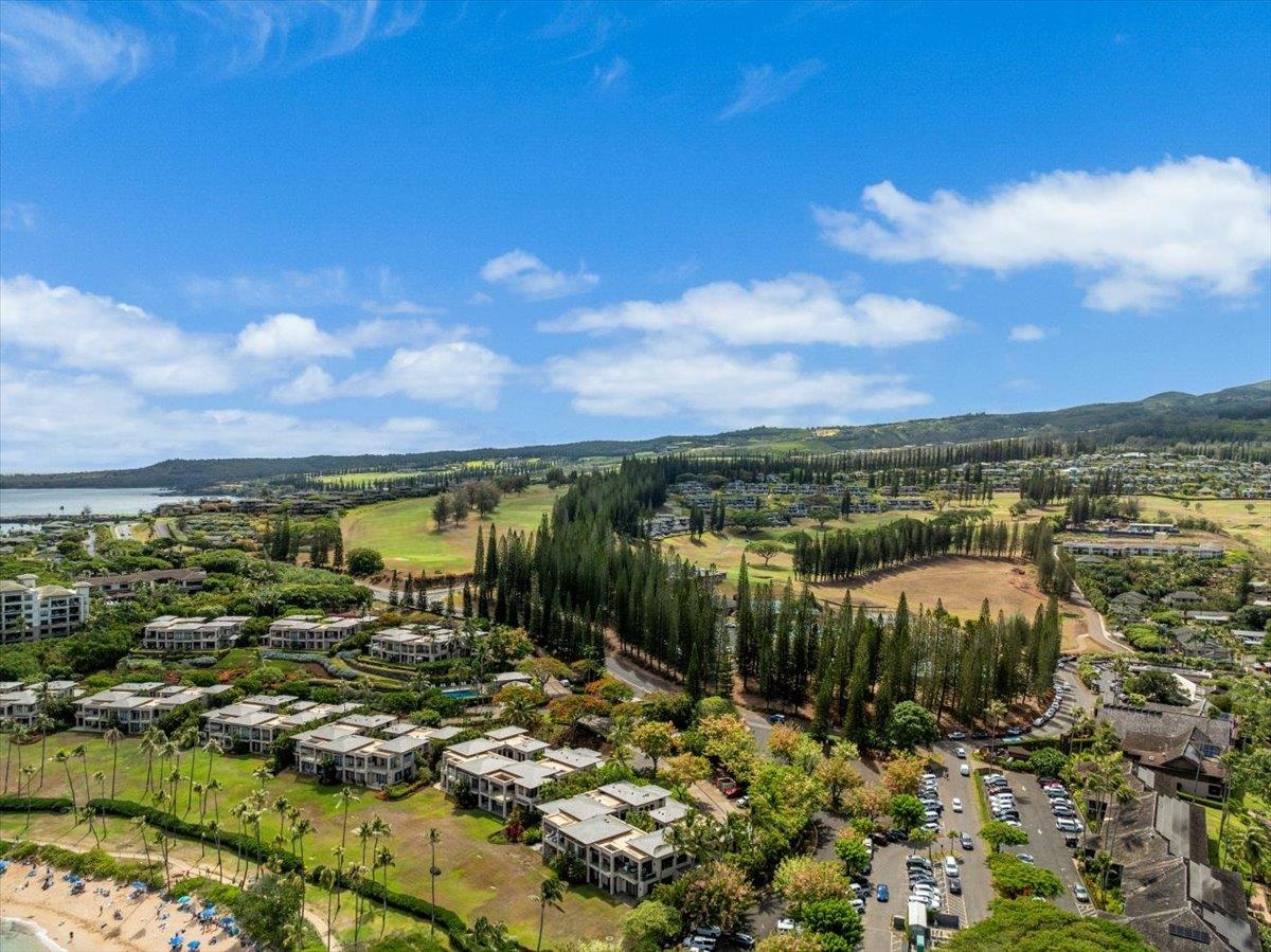 14 Coconut Grove Ln Unit: D14