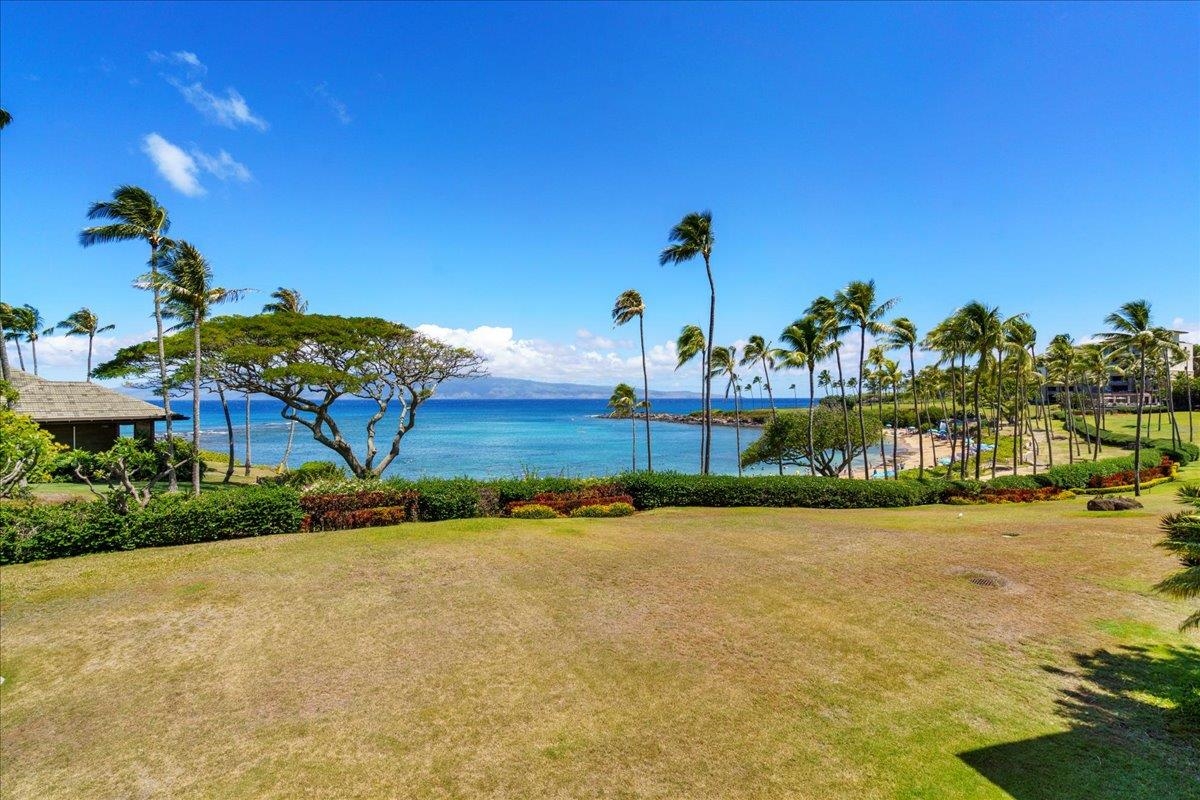 14 Coconut Grove Ln Unit: D14