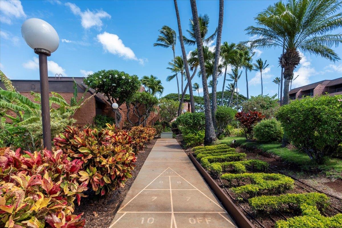 3959 Lower Honoapiilani Rd Unit: 310