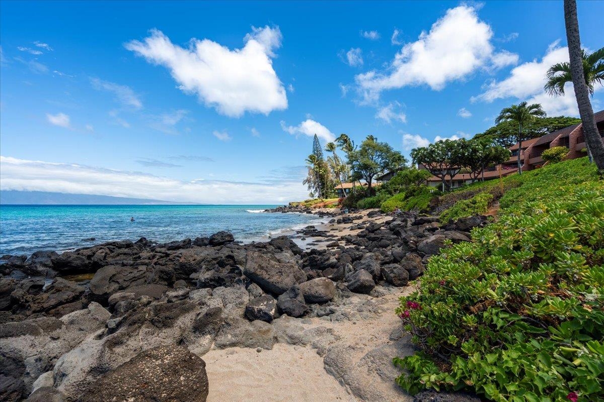 3959 Lower Honoapiilani Rd Unit: 310