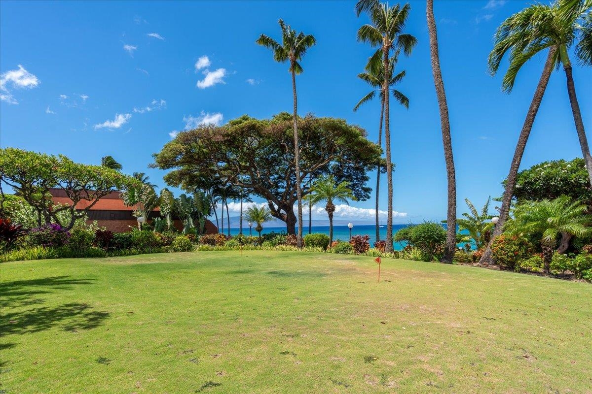 3959 Lower Honoapiilani Rd Unit: 310