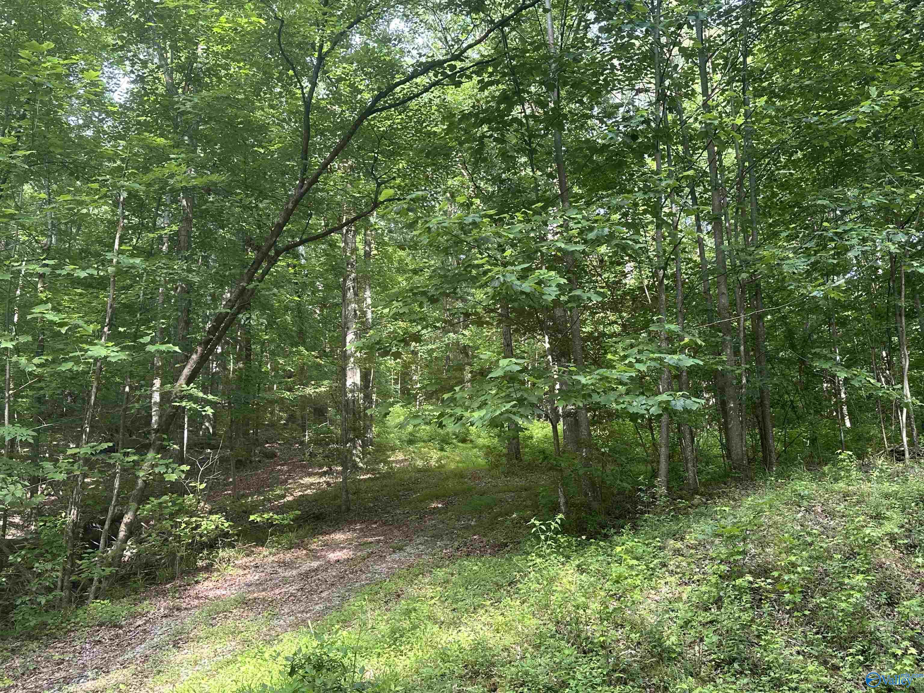 LOT 9 Green Valley Road