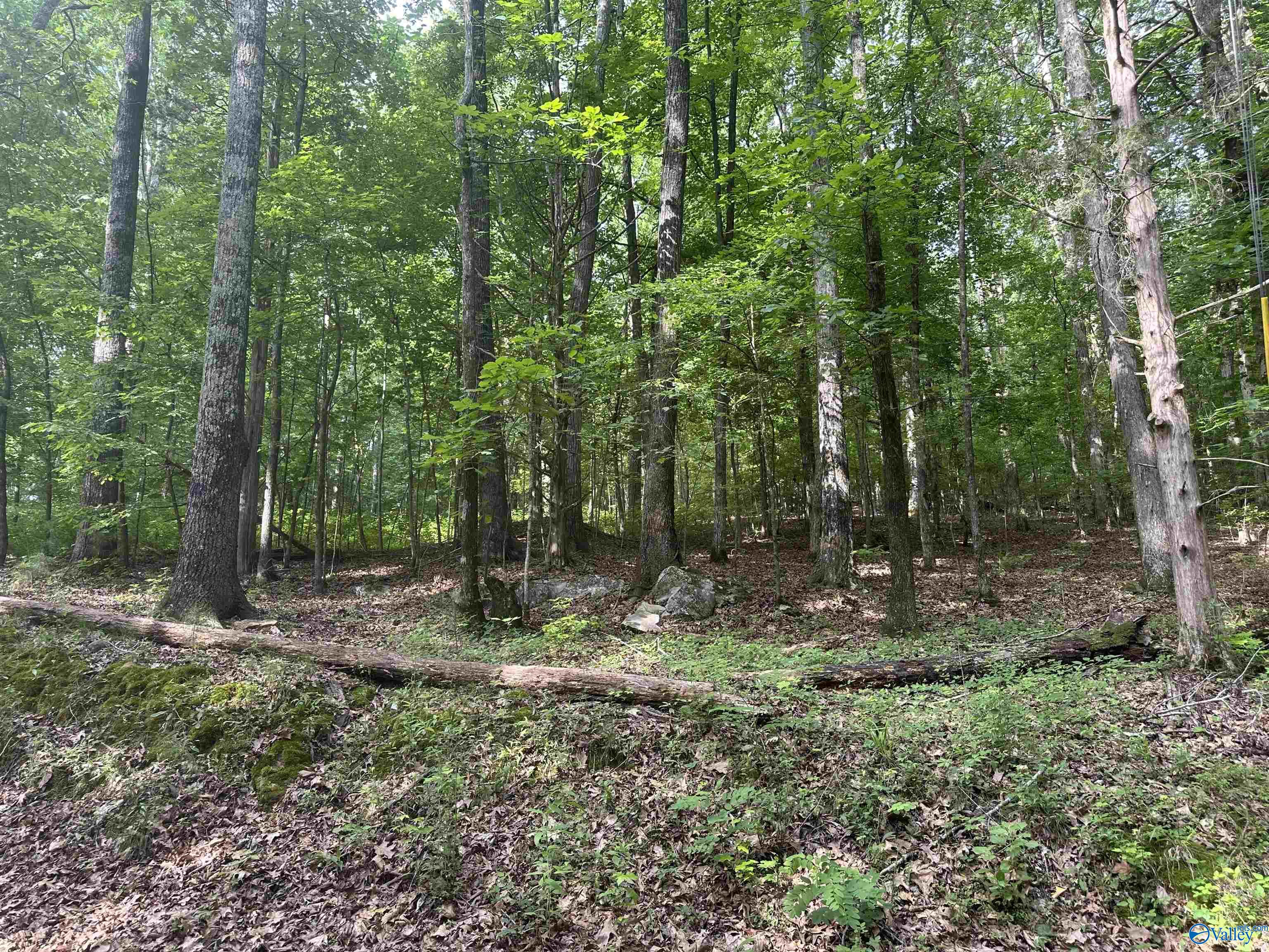 LOT 9 Green Valley Road