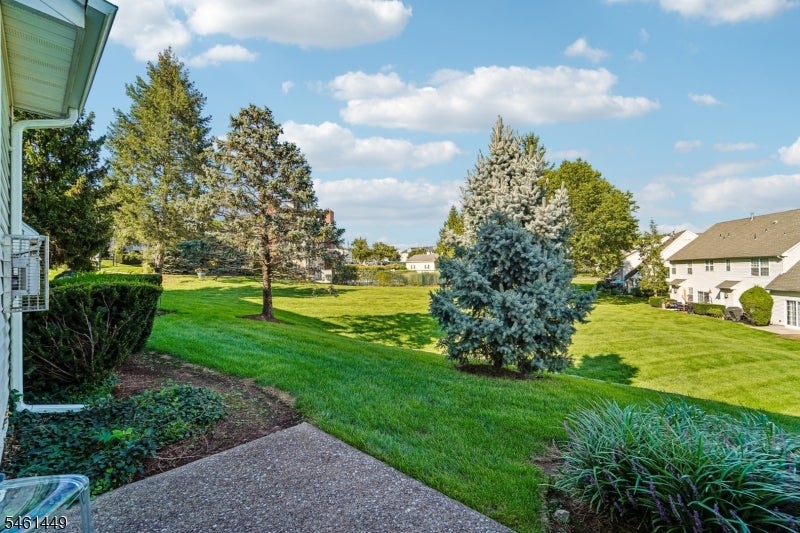 Patio overlooking a broad green lawn with mature trees and neighboring homes.