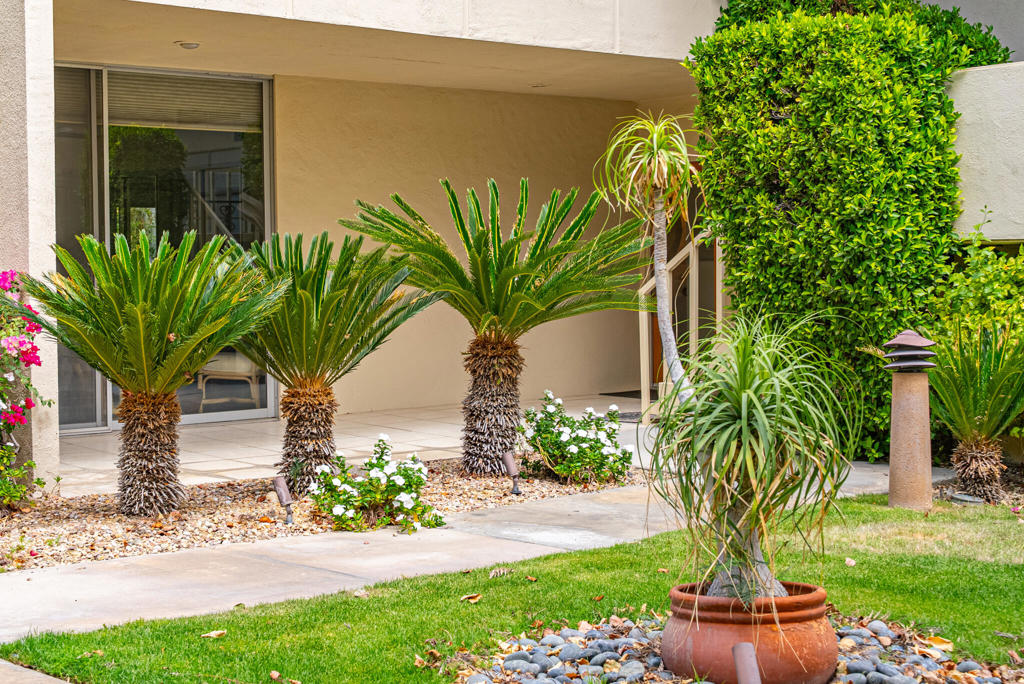 477 Desert Lakes Drive