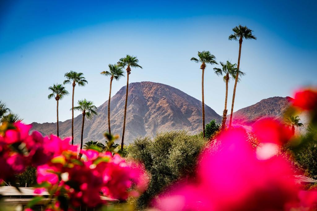 45901 Toro Peak Road