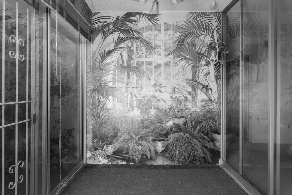 493 Desert Lakes Drive