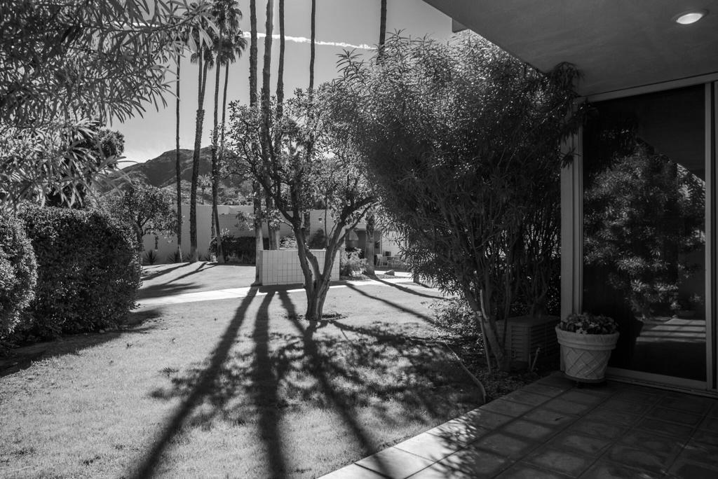 493 Desert Lakes Drive