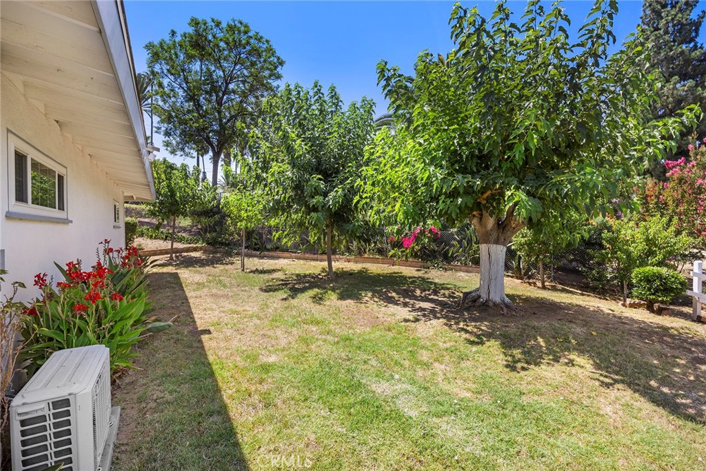 2976 Las Flores Avenue