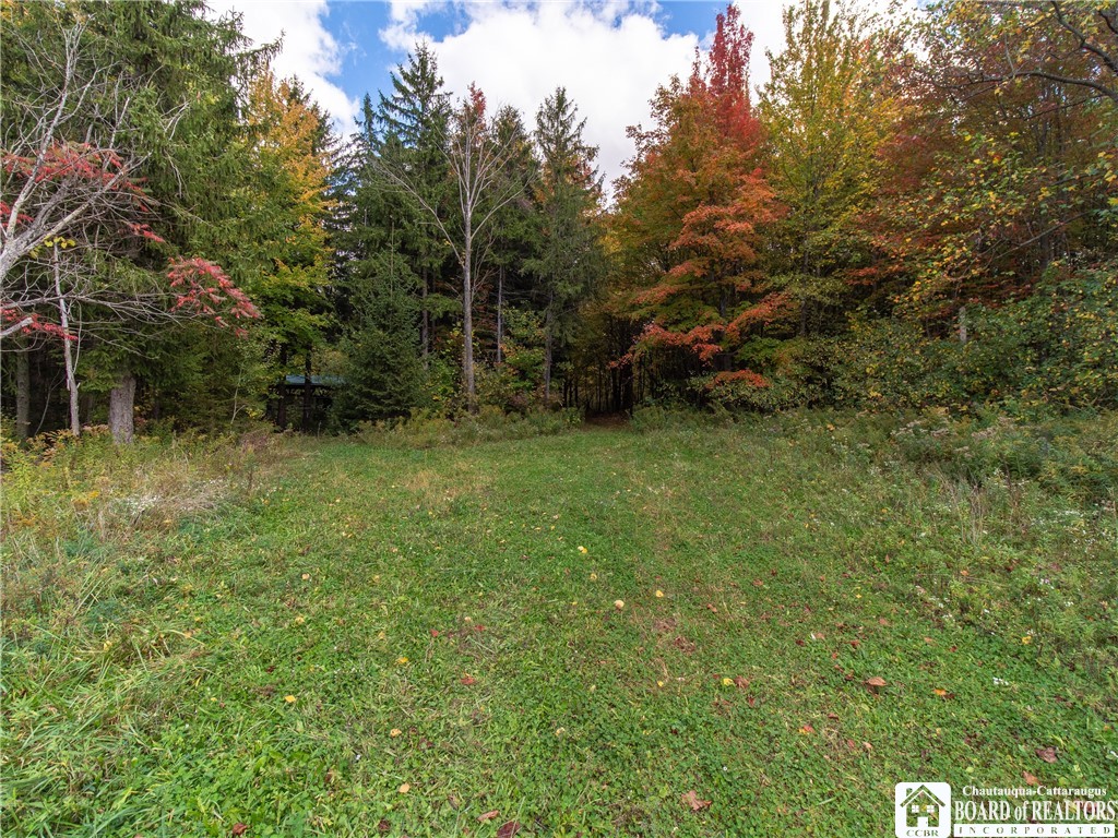 8170 Campbell Road