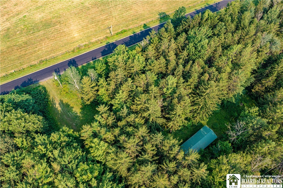 8170 Campbell Road