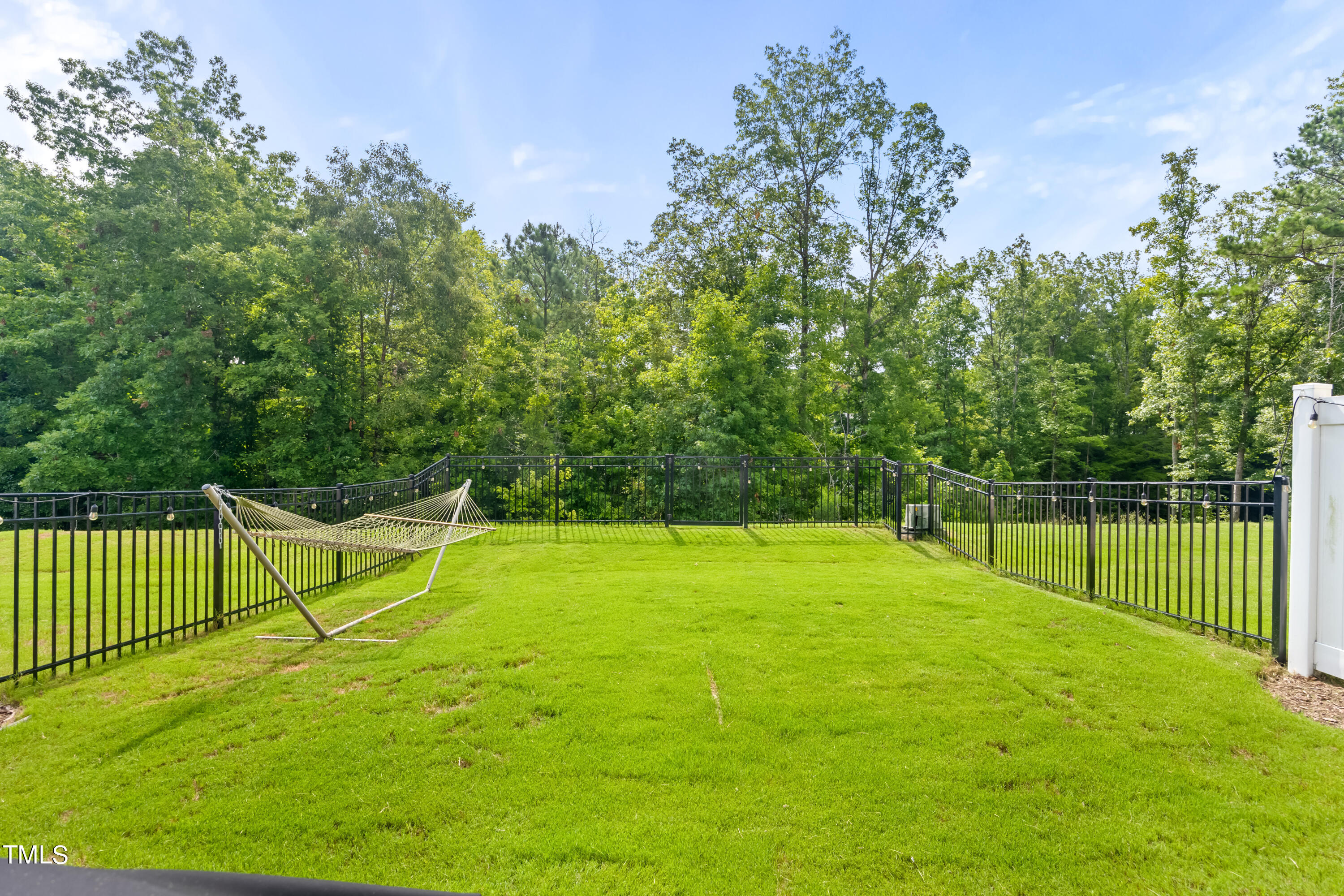 1193 Chestnut Bluff Run