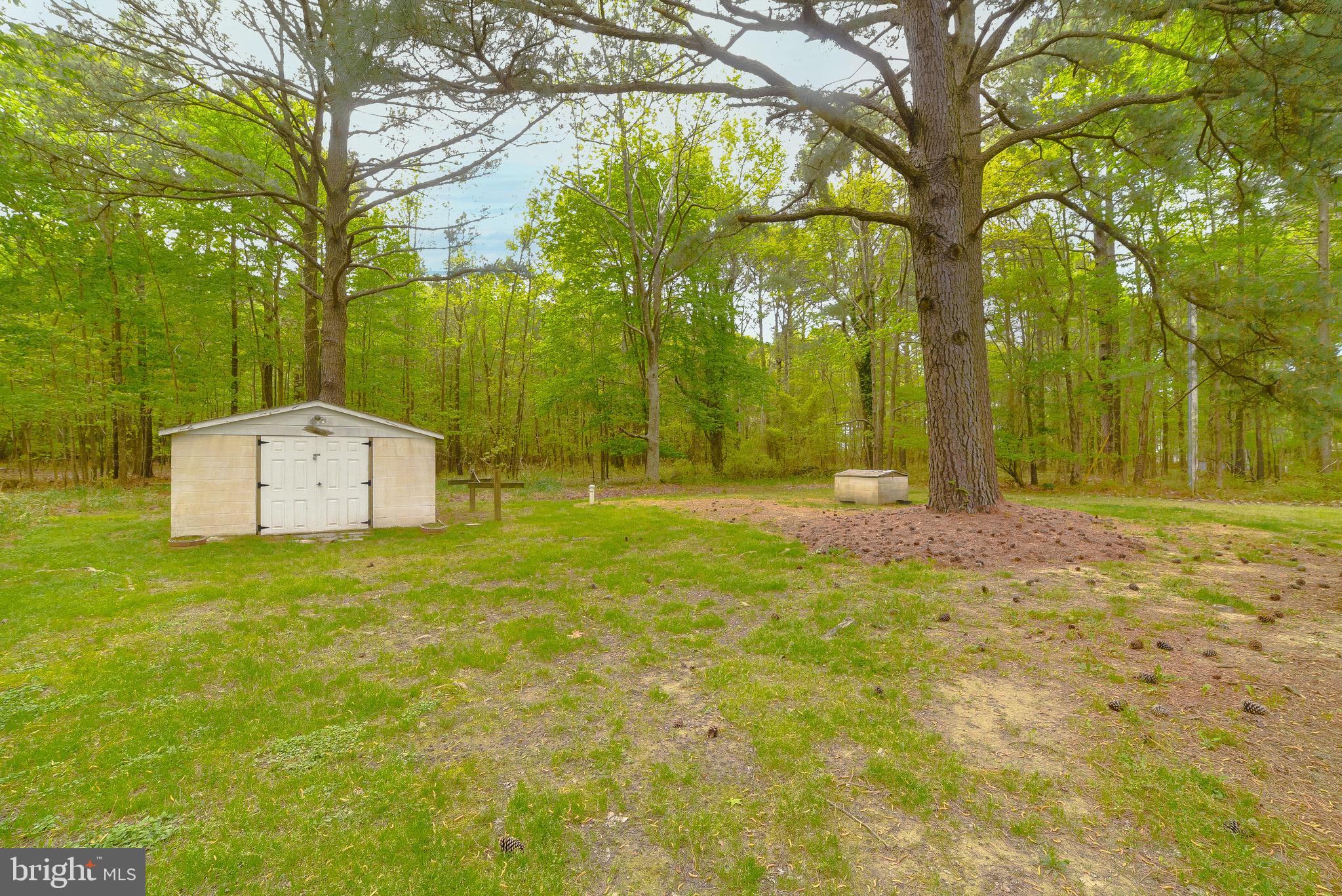 15165 LAKE DRIVE