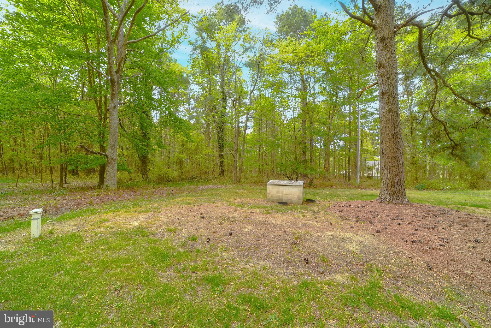 15165 LAKE DRIVE