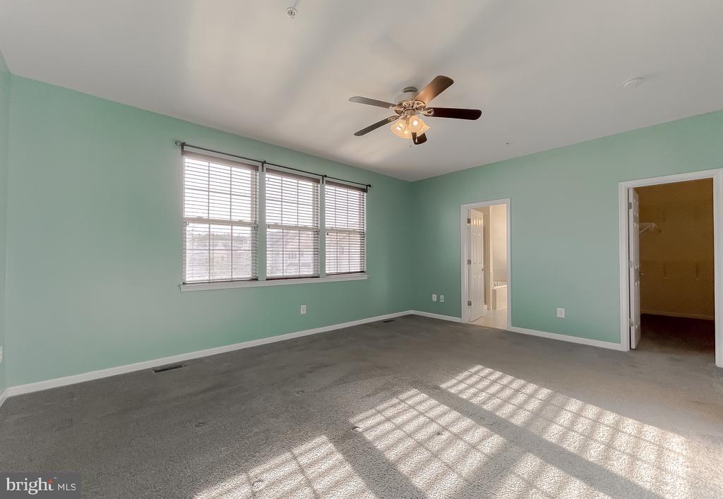22916 SNOW LEOPARD DRIVE