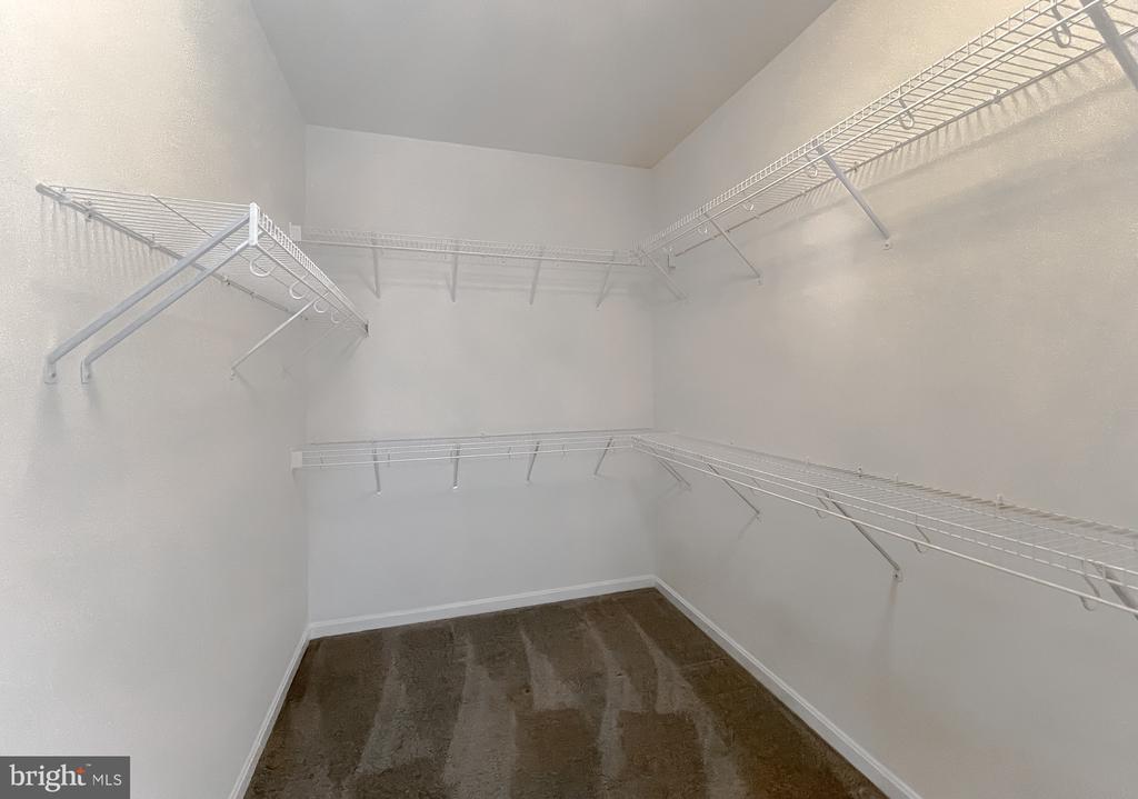 22916 SNOW LEOPARD DRIVE