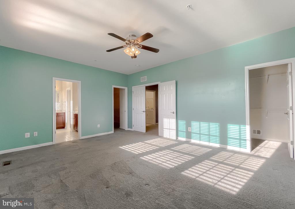 22916 SNOW LEOPARD DRIVE