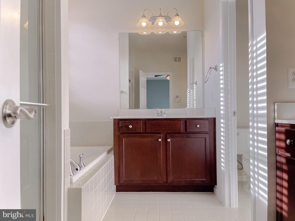 22916 SNOW LEOPARD DRIVE