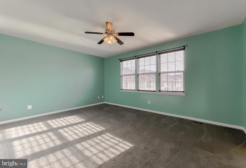 22916 SNOW LEOPARD DRIVE
