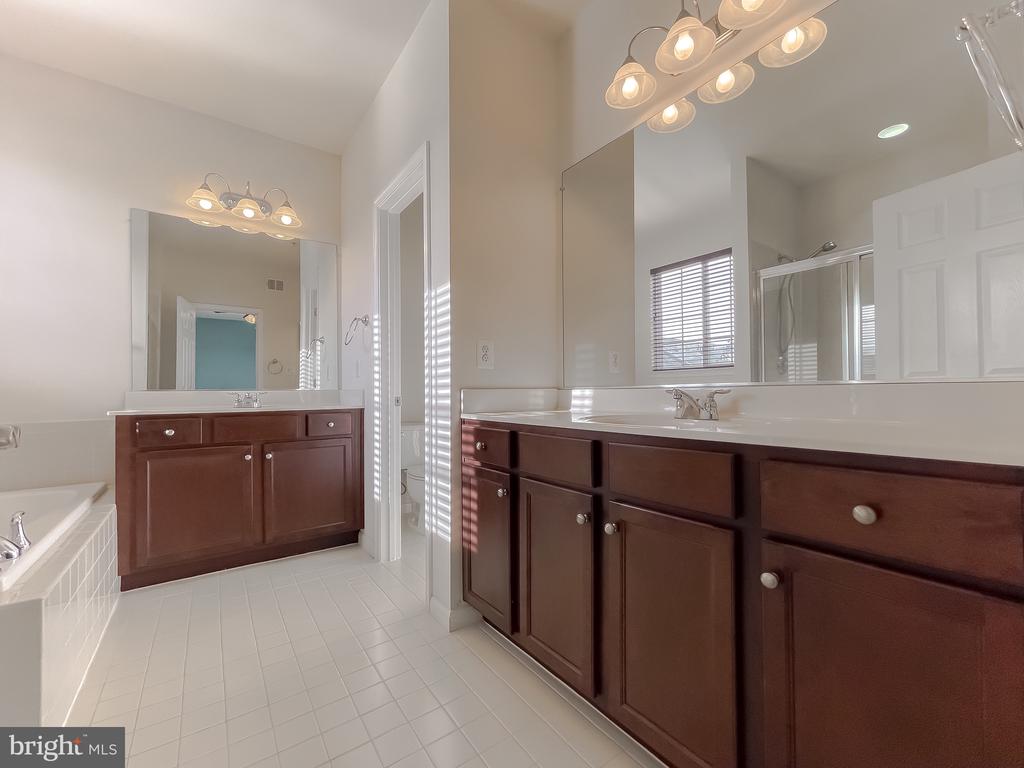 22916 SNOW LEOPARD DRIVE