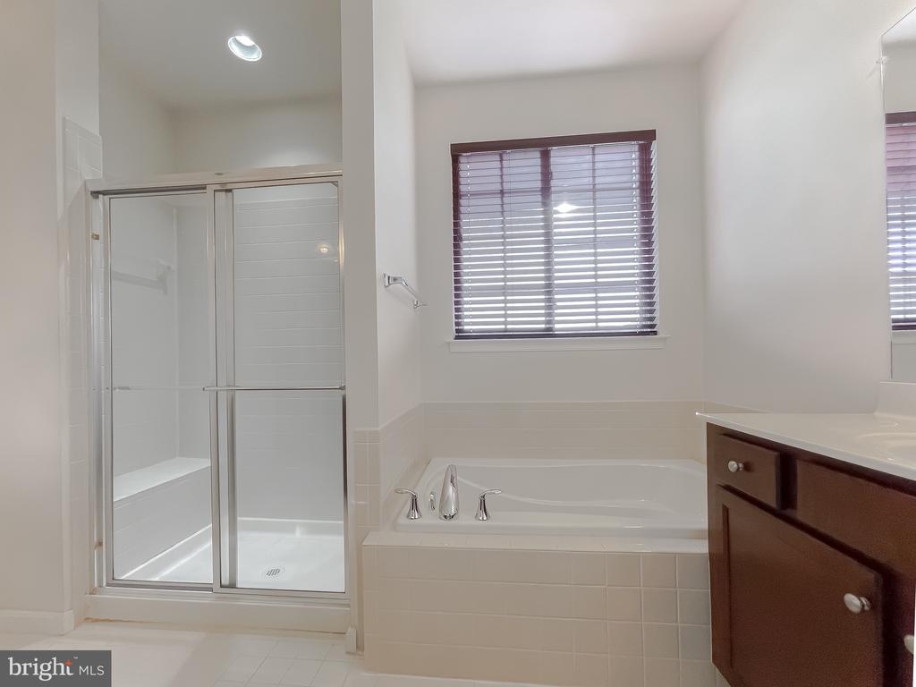 22916 SNOW LEOPARD DRIVE