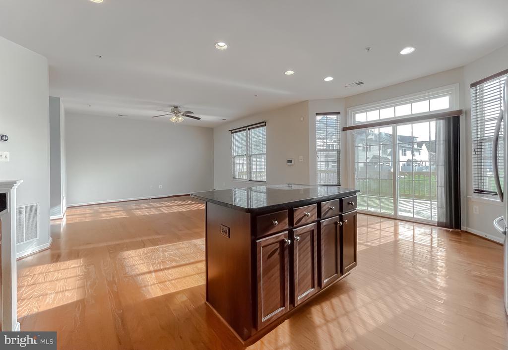 22916 SNOW LEOPARD DRIVE