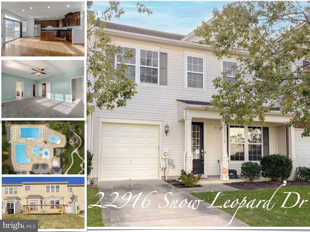 22916 SNOW LEOPARD DRIVE