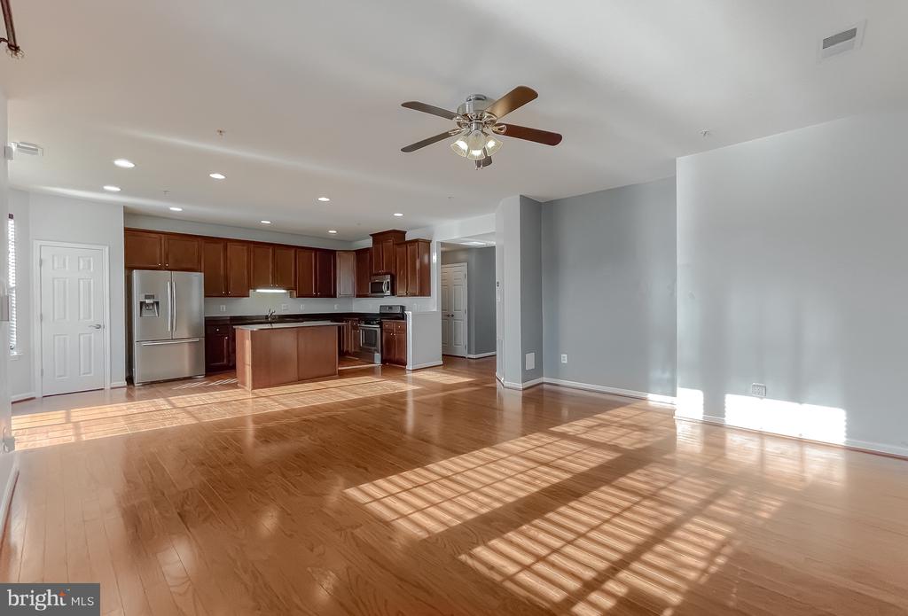 22916 SNOW LEOPARD DRIVE