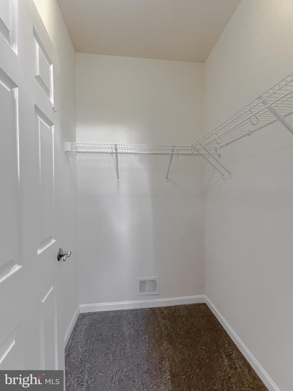 22916 SNOW LEOPARD DRIVE