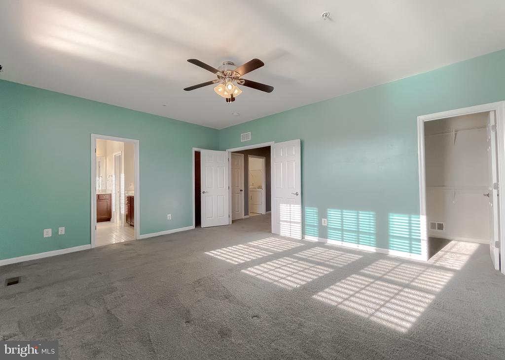 22916 SNOW LEOPARD DRIVE
