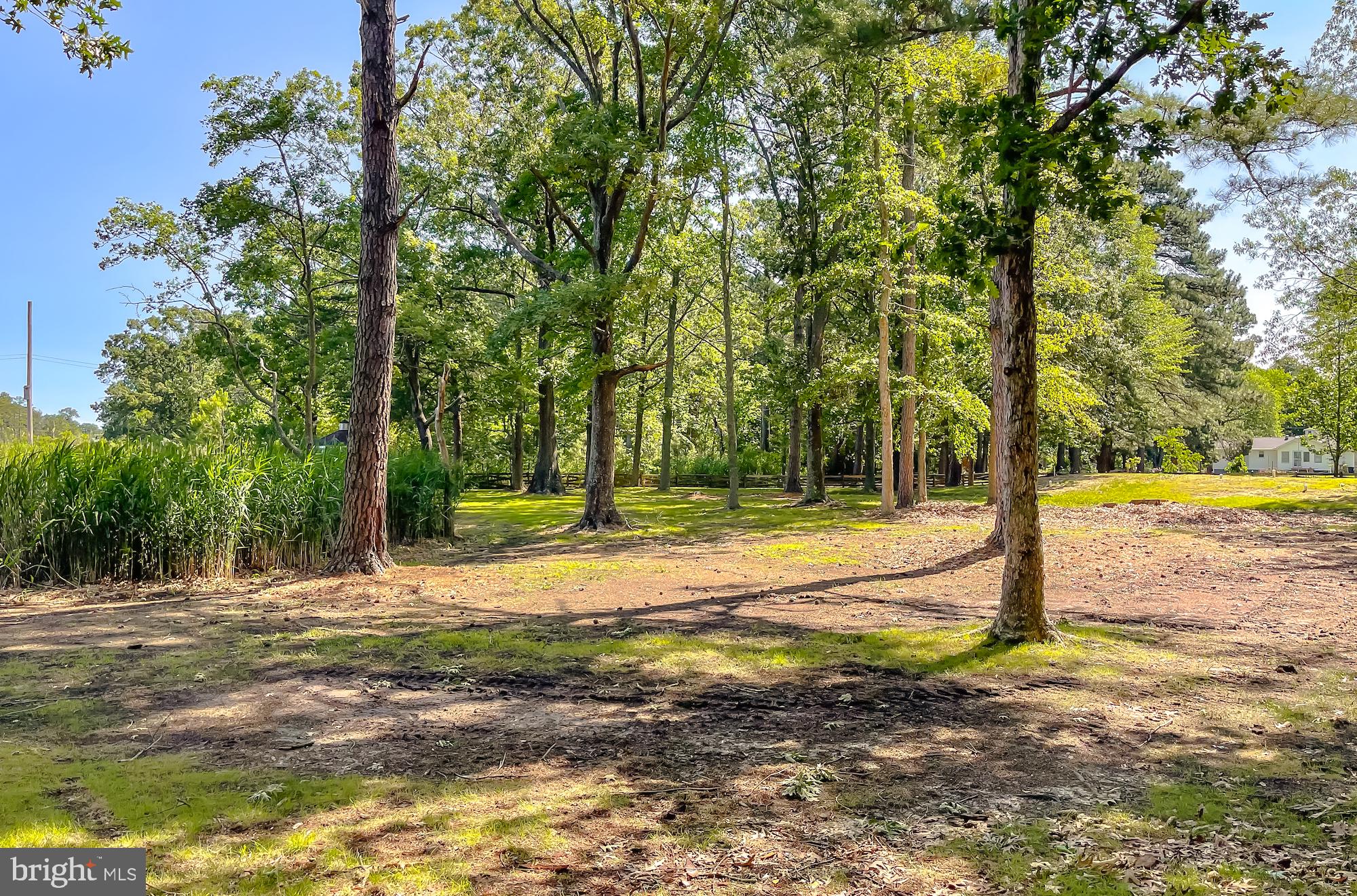 50365 PIZZANT LANE