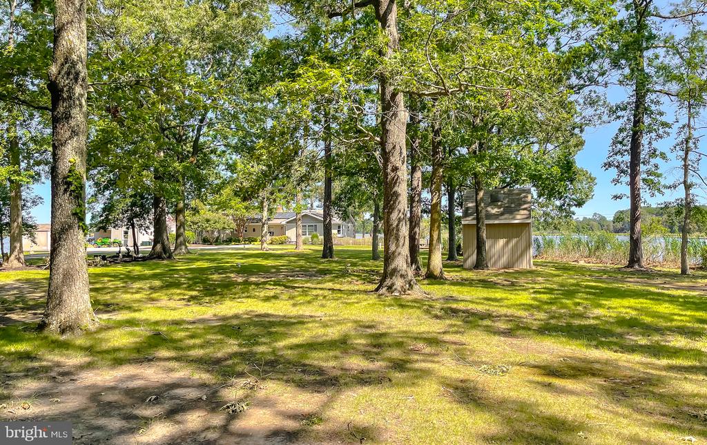 50365 PIZZANT LANE