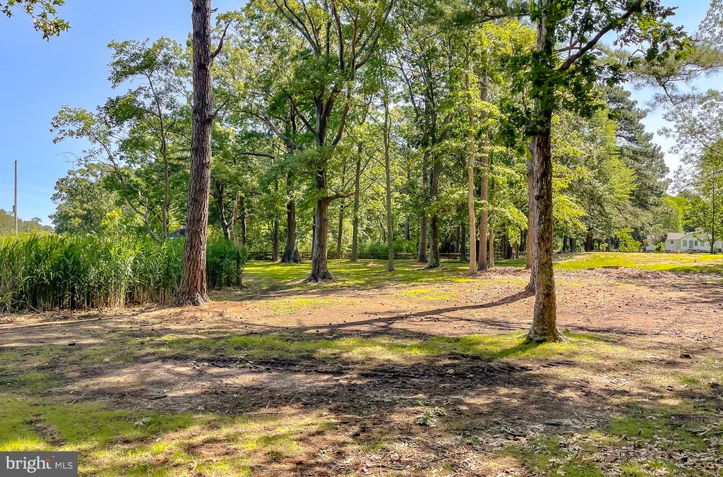 50365 PIZZANT LANE