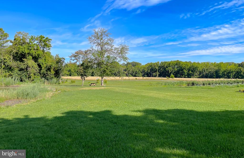 20395 BOWLES ROAD