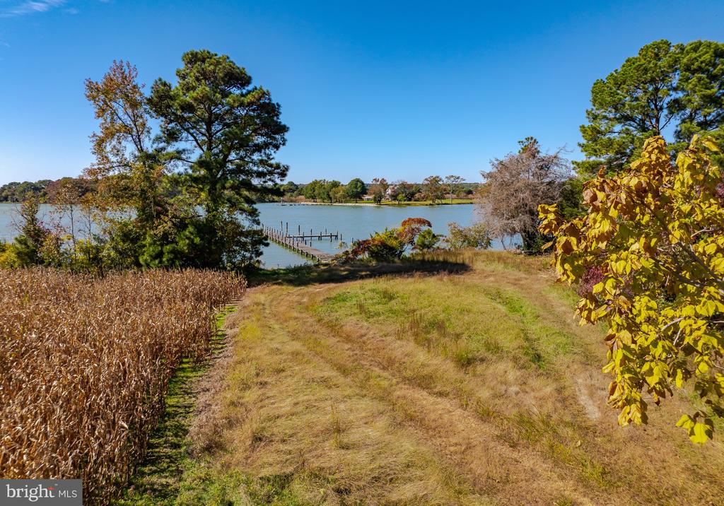 50645 HOLLY POINT ROAD